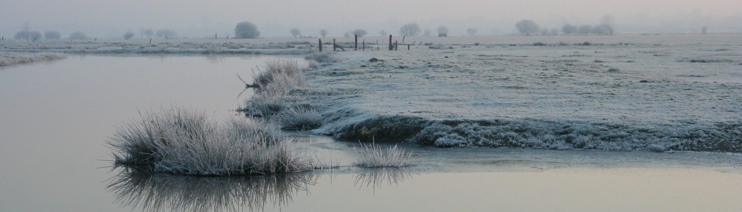 Marais de Carentan
